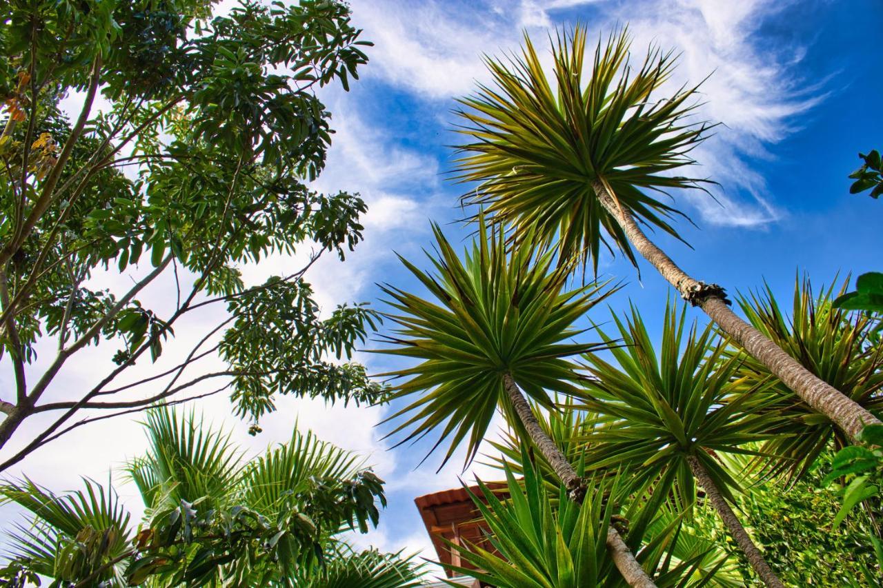 Casa Lobo Villa San Pedro La Laguna Kültér fotó